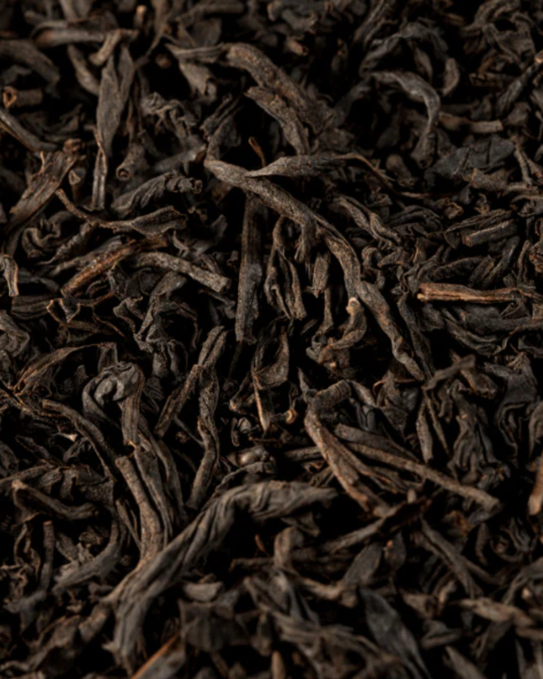 Fenghuang (Black Tea Extract)