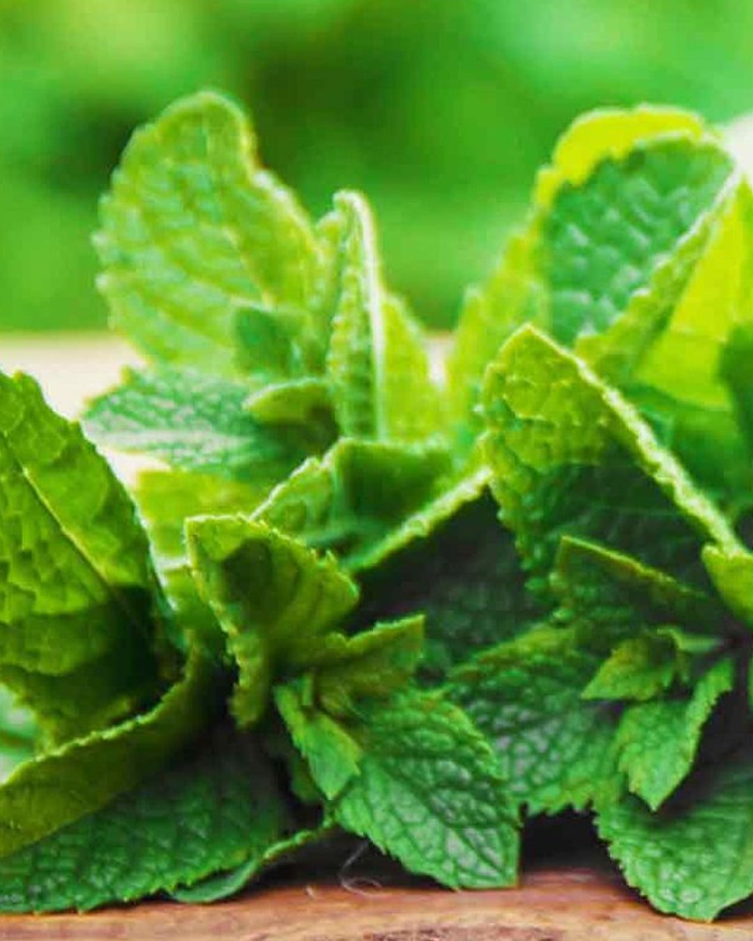 Peppermint Oil