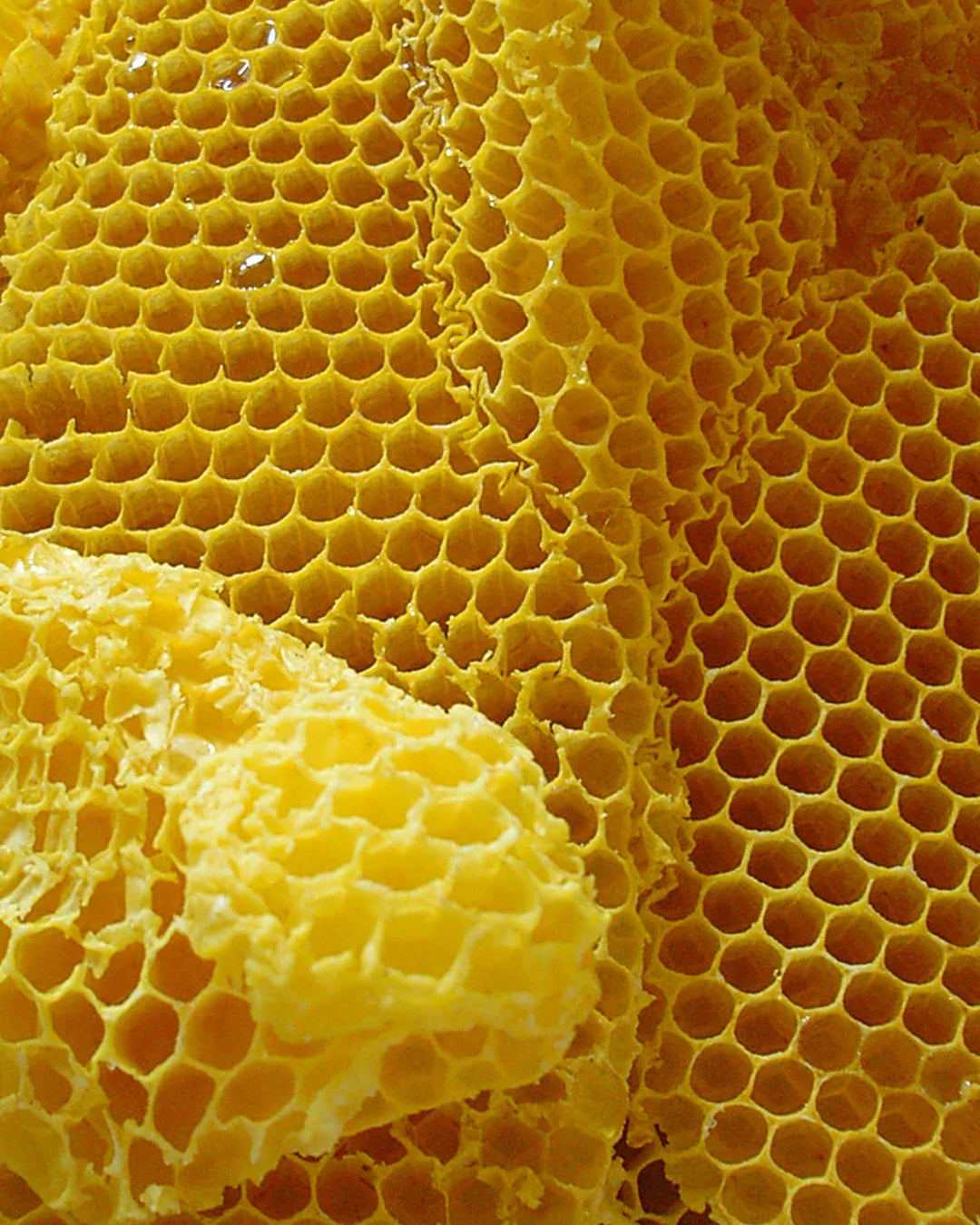 Beeswax